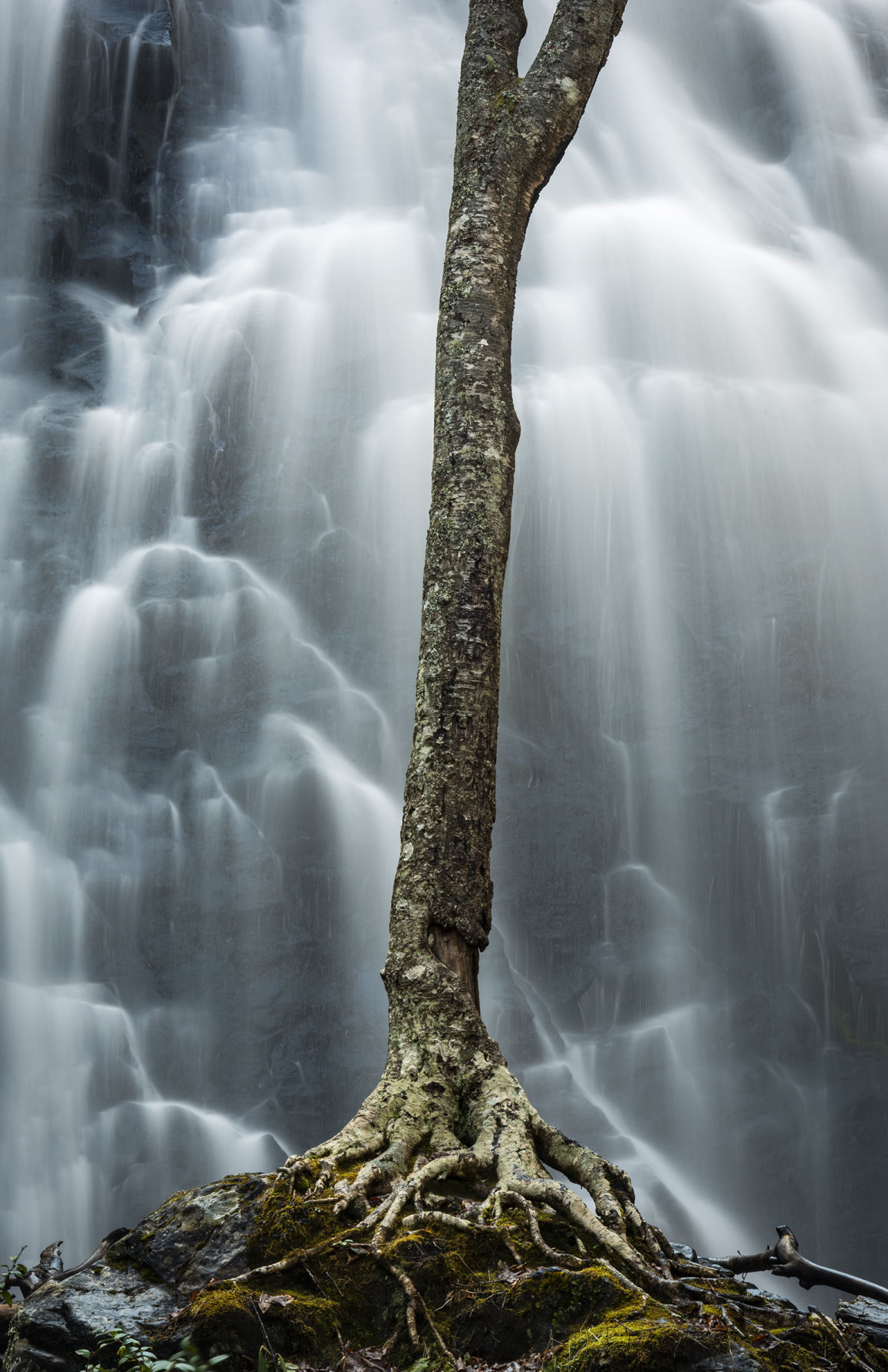 CrabtreeFalls